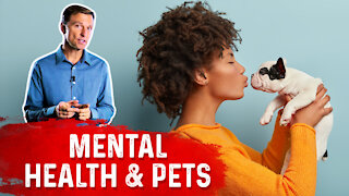 The Mental Health Benefits of Having a Pet