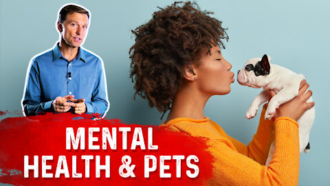 The Mental Health Benefits of Having a Pet