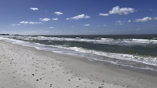 Beach Walks in Paradise- Barefoot Beach, Florida- 11/7/2021- 4K