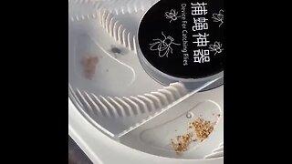 Interesting Fly Trap that makes you feel bad..