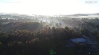 I colori dell'autunno tra la nebbia della Carolina del Sud