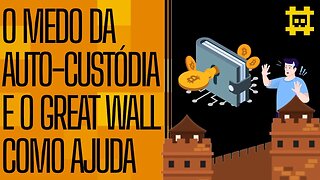 Os medos de fazer auto-custódia: O Great Wall é vantajoso para fazer auto-custódia? - [CORTE]
