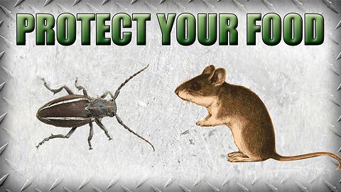 How to Protect Your Emergency Food Storage From Pests