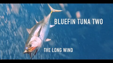 Bluefin Tuna Two - The Long Wind