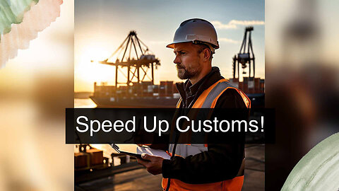 Minimize Customs Clearance Delays: A Step-by-Step Guide