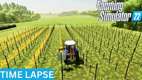 Crazy Farm Days | Bloomfield 55 | Farming Simulator 22