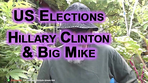 US Elections: Kamala With Hillary Clinton as VP, Harris Gets Into a Plane, Big Mike Enters the Game