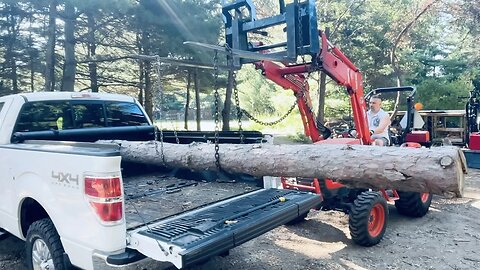 These Logs Will NOT Become Firewood