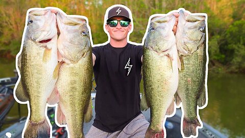 BASS FISHING UNBELIEVABLE RECORD DAY