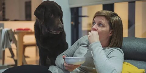 Dog Eyeing His Master’s Food 😂😂😂