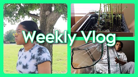 Week in my life Vlog 03 - plant update, baking, testing Gimbal rig