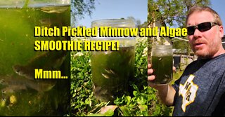 Ditch Pickled Minnow and Algae Smoothie Recipe... A Sushi lovers dream