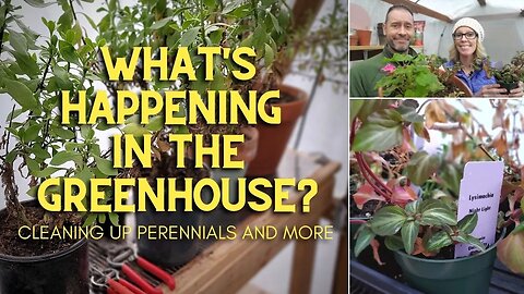 What's Happening in Our Greenhouse? | Greenhouse Update 🌿