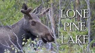Lone Pine Lake [Plus Adams Falls] - Rocky Mountain National Park