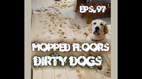 Hello Again Wednesday 97 Mopped Floor Dirty Dogs