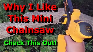 Why I Like This Mini Chainsaw - Check This Out - Full Review