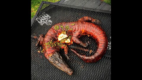 "BOOM" GATOR GOT SMOKED! Whole Smoked Alligator