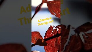 This Is True Beauty! --Adventure Through Art