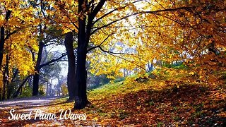 Relaxing Music - Peaceful Piano Music for Stress Relief, Calming Music, Background Music for Study