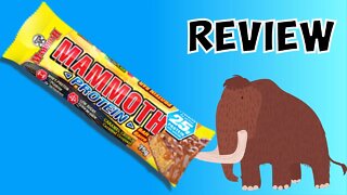 Mammoth Protein Bar Chocolate Caramel Crunch review