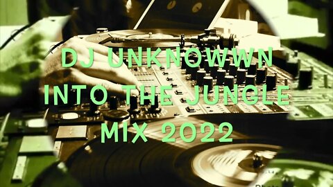 INTO THE JUNGLE MIX - BY DJ UNKNOWN DRAMATIZEDPRODUCTIONS 2022. JUNGLE MIX HARD BASS TYPE VINYL.