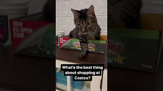 Cats love Costco boxes