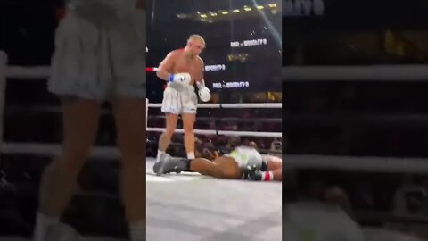 Is Jake Paul a "REAL" Boxer?🤔🥊