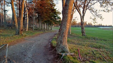 4K Drone Flying Through Trees - Royalty Free Stock Video