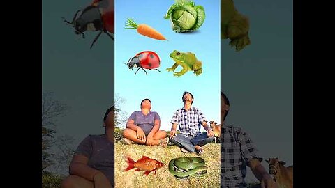 Vegetable, fish, frog, snake & insect eating game for two brothers - funny vfx 😀😀😀😀😀