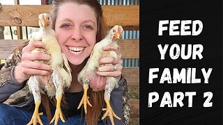 Feed Your Family for a YEAR! Part 2 | Raising Meat Chickens
