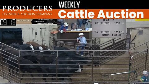 5/11/2023 - Producers Livestock Auction Company Cattle Auction