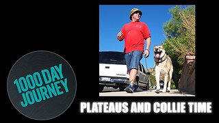 1000 Day Journey 0036 Diet Plateaus and Collie Time