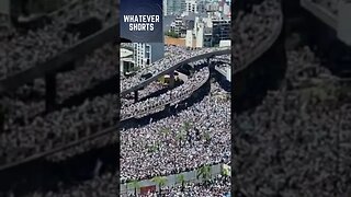 Argentina's huge welcome for the national team #shorts #worldcup #football #argentina #soccer