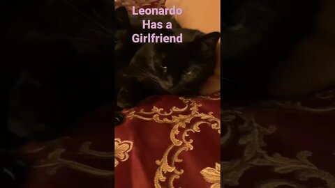 Leo Has a Girlfriend