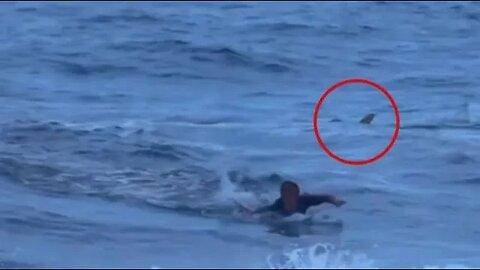 A Great White Shark Devoured This Surfer In Front Of His Brother