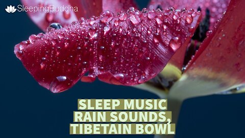 Sleep Music - Rain Sounds 🌧 with Tibetan Singing Bowls🔔 and Birds chirping🕊️