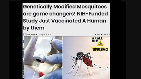 Watch Before Its Deleted! GMO Mosquito's Being Used As Way To V-a-c-c-l-n-a-t-e!