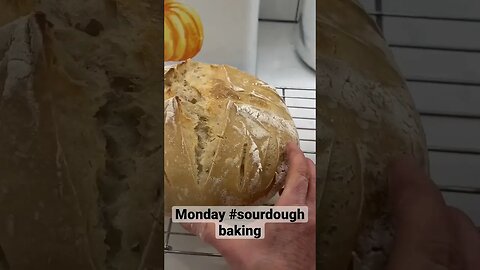 Monday Morning Sourdough Baking