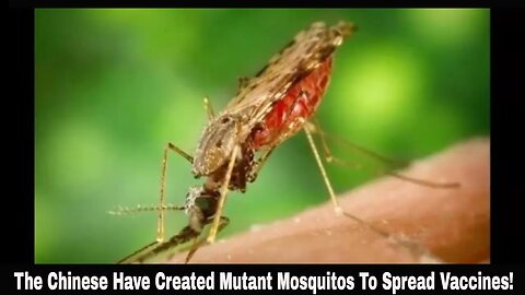 The Chinese Have Created Mutant Mosquitos To Spread Vaccines!