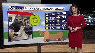 Dog Walking Forecast: Duke