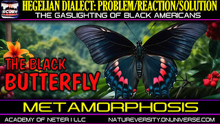 HEGELIAN DIALECT: PROBLEM/REACTION/SOLUTION | THE GASLIGHTING OF BLACKS!