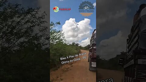 Bike X Pau de Arara - Glória do Goitá - PE - BIKES E TRILHAS #shorts #bike #trilha