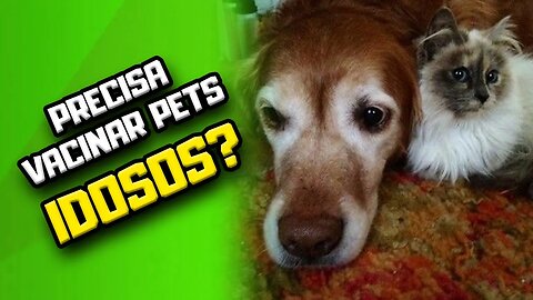 Cães e Gatos IDOSOS precisam ser VACINADOS? | Dr. Edgard Gomes | Alimentação natural para Cães