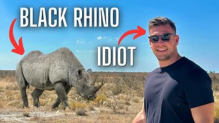 Looking for a RHINO on a ONE DAY SAFARI? | Etosha National Park 🇳🇦