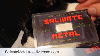 Salivate Metal Silver Card