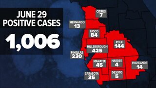 Breaking down Tampa Bay COVID-19 cases