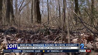 Skeletal remains found in Cecil County