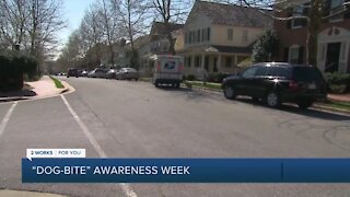 Dog Bite Awareness Week: How to keep your dog and mail carrier safe