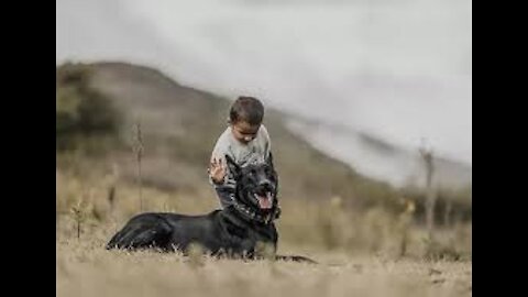 The Guard Dog Training Step by Step!