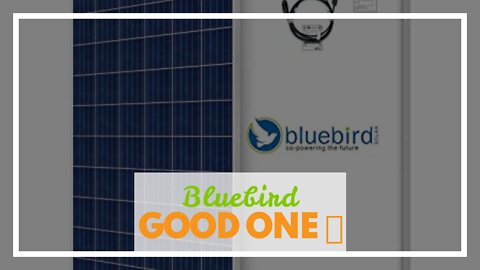 Bluebird Solar 395 Watt - 24 Volt Mono PERC Crystalline Solar Panel BIS Certified